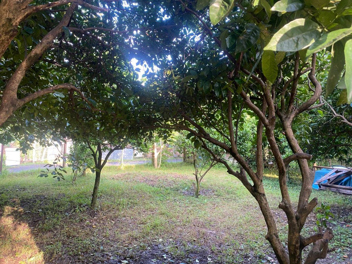 Orange Villa Gonio Dış mekan fotoğraf